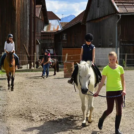 Ponyhof Schoellang *